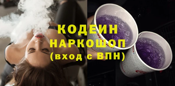 молекула духа Ельня