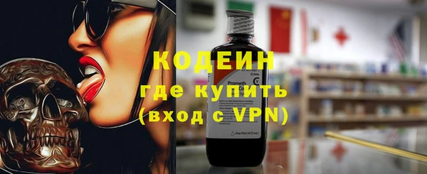 молекула духа Ельня