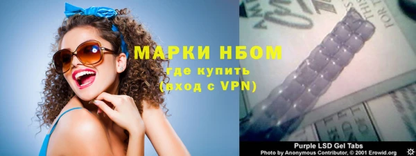 молекула духа Ельня