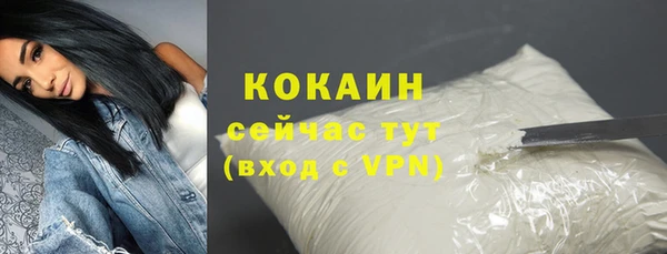 кокс Елизово