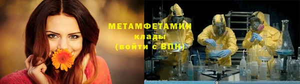 молекула духа Ельня