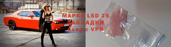 молекула духа Ельня