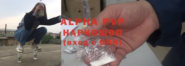 кокс Елизово