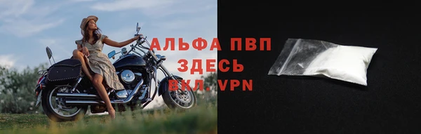 молекула духа Ельня
