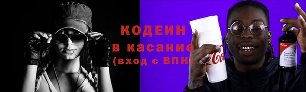 молекула духа Ельня