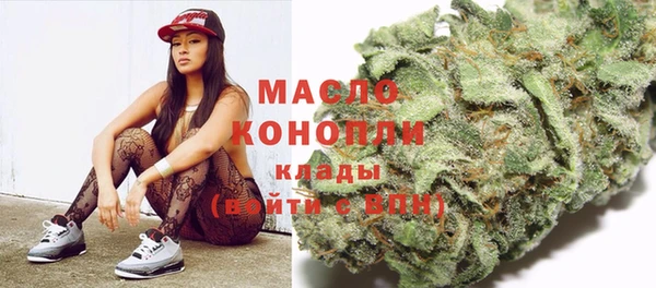 молекула духа Ельня