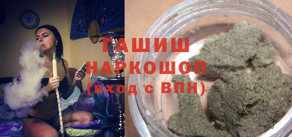 молекула духа Ельня