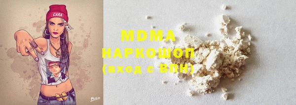 молекула духа Ельня