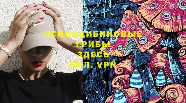молекула духа Ельня