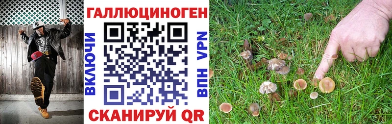 Галлюциногенные грибы MAGIC MUSHROOMS  Купить закладки  Ишимбай 