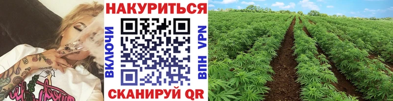 Купить где  Ишимбай  Бошки марихуана марихуана 